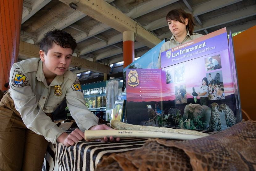 U.S. Fish and Wildlife Service Inspectors Allison Frank (left) and Bonnie Kelley (right)...