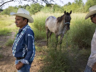 Fermin Longoria (left) and his brother Julian Longoria stand with their horses near the...