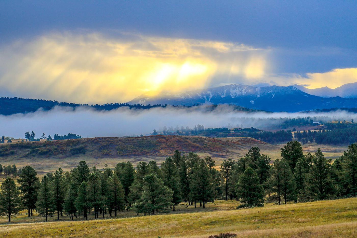 CEO and founder of McKinney-based Service First Mortgage Shawn Broussard, along with his wife Martha Broussard, purchased this 9,600-acre property in Pagosa Springs, Colorado. Piedra Valley Ranch will be stewarded under the Broussard Environmental and Wildlife Conservation Foundation.