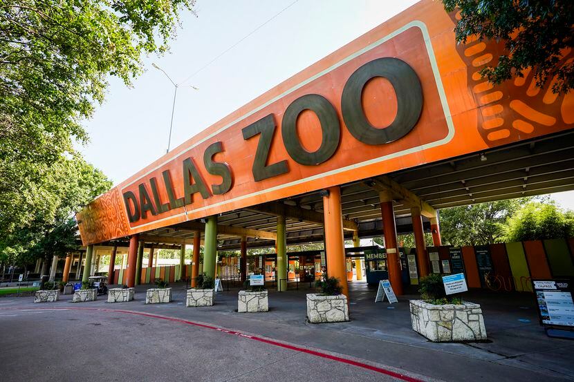 El Dallas Zoo anunció el retiro temporal de varias de sus aves debido a la presencia de la...