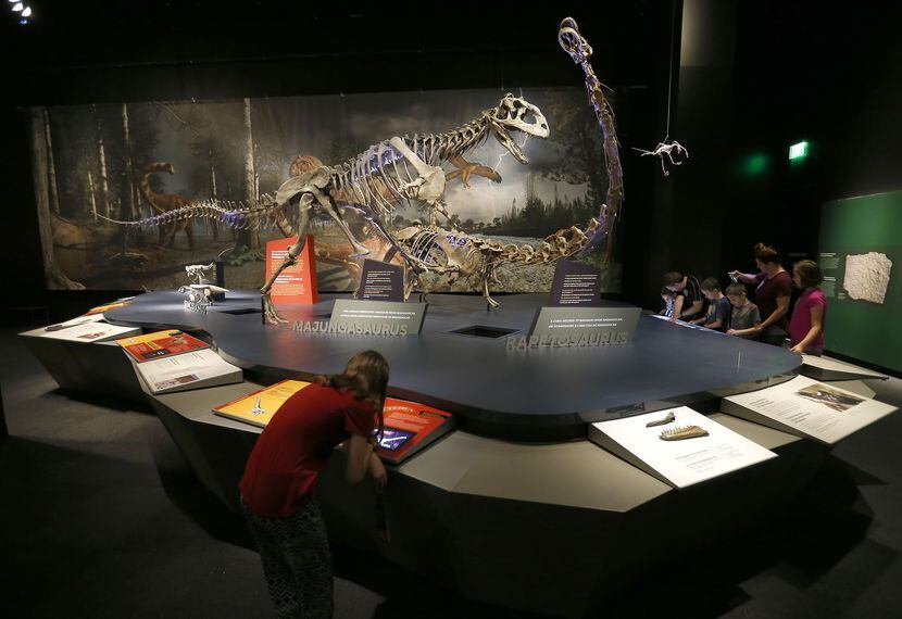 Pantallas interactivas son parte de la experiencia de conocer los esqueletos de dinosaurios...