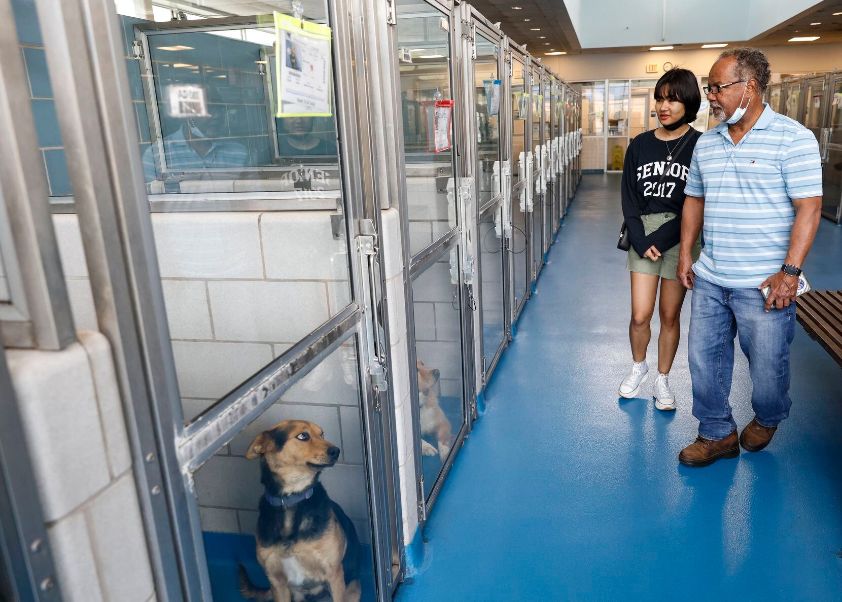 Preeti Shrestha and her father, Michael Nelson, look for a new dog at Dallas Animal...