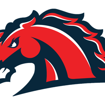 home team logo