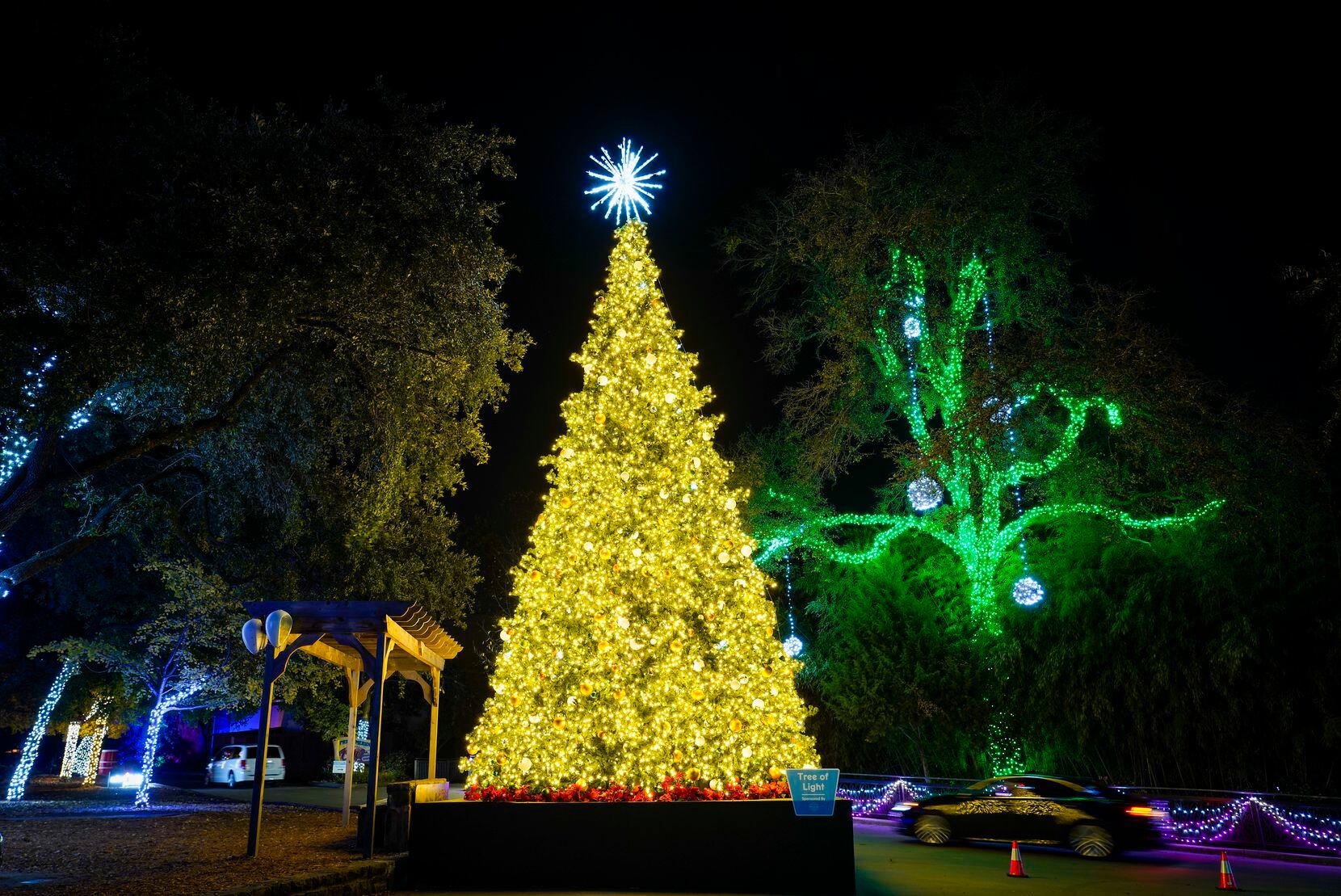 Dallas Zoo Lights 2020 Más de 1 millón de lucecitas de Navidad en el