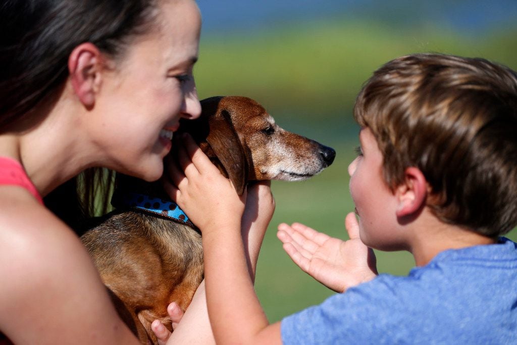 Donna Rosen surprises her son Braxton, 6, with their dog Bobo, who had been missing for over...