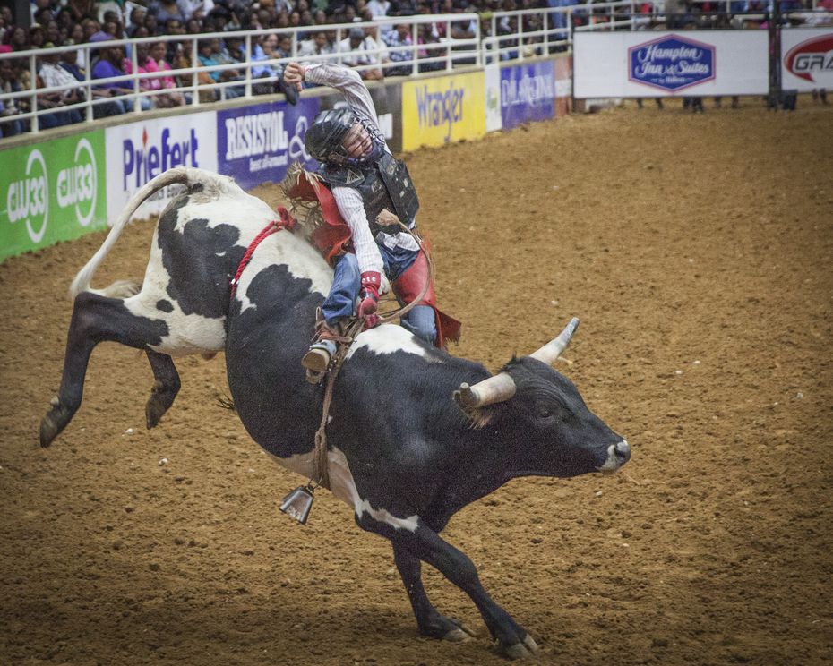 Qué hacer en Mesquite Rodeo, música, festivales, camino de mariposas y más