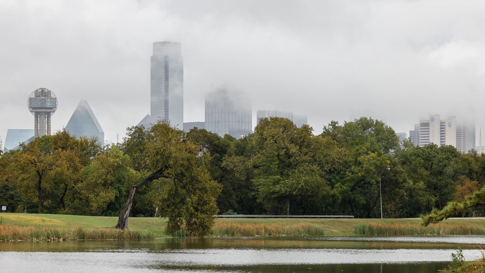 The downtown Dallas skyline emerges from a layer of low clouds as seen from Lake Cliff Park in Oak Cliff on Wednesday, Oct. 27, 2021. (Elias Valverde II/The Dallas Morning News)