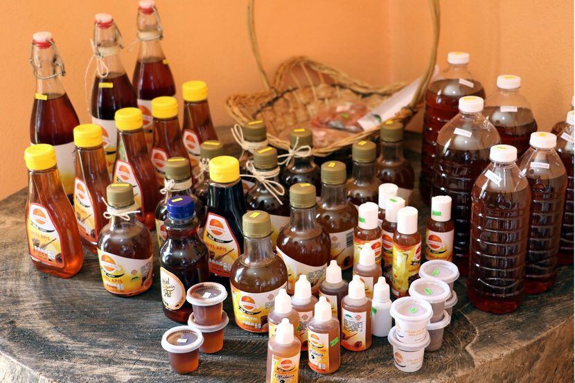Desde hace más de medio siglo, la miel producida en Campeche es disfrutada en Europa y Medio...
