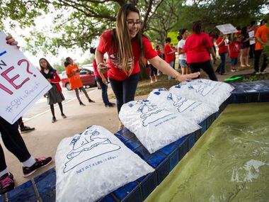 Opponents of the SB 4 law, Texas' "sanctuary cities" legislation, set out bags of ice as...