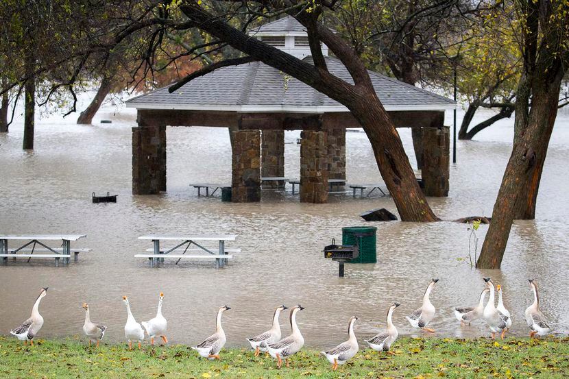 Towne Lake Park, en McKinney se inundó con las lluvias del jueves y viernes. Hubo alerta por...