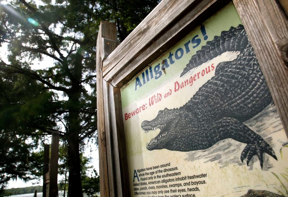 A sign warning about the presence of alligators stands near the shore of the lake in the...