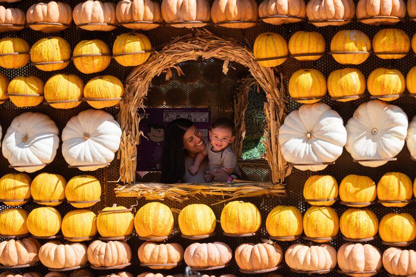 Xiomara Powell and her son Thomas, 2, peek out from a pumpkin cottage at the Dallas...