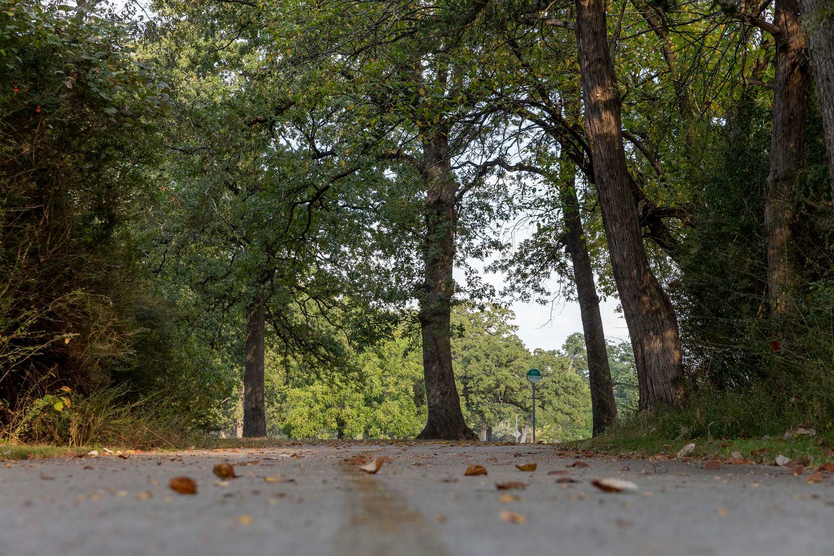 The Trinity Forest Trail winds its way through the Joppa Preserve pictured on Sept. 28, 2021...