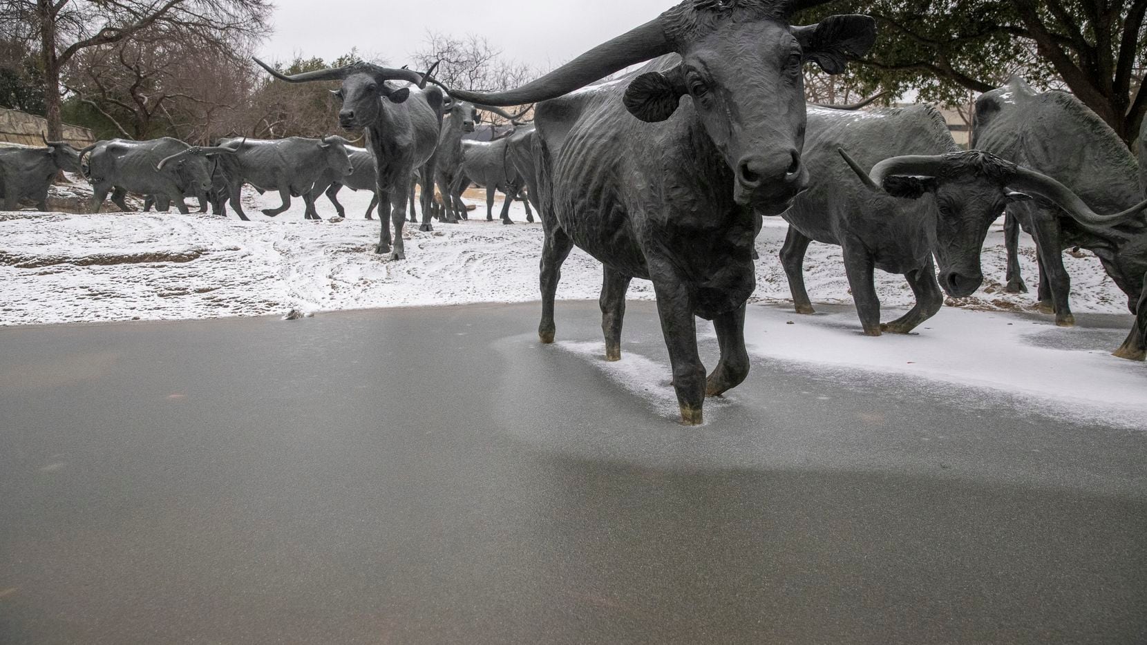 The water is frozen over at the cattle drive statues at The Plaza in front of the Dallas Convention Center in downtown Dallas on Sunday, Feb. 14, 2021, in Dallas. The region is currently under a winter storm warning. (Lynda M. González/The Dallas Morning News)