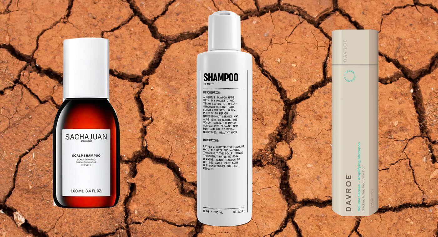 Best Shampoos for Dry Scalp in 2023
