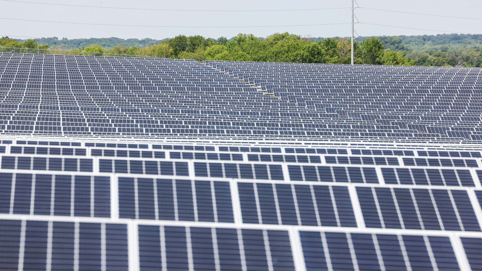 Solar panels at Lily Solar in Scurry, TX on Thursday, August 11, 2022.