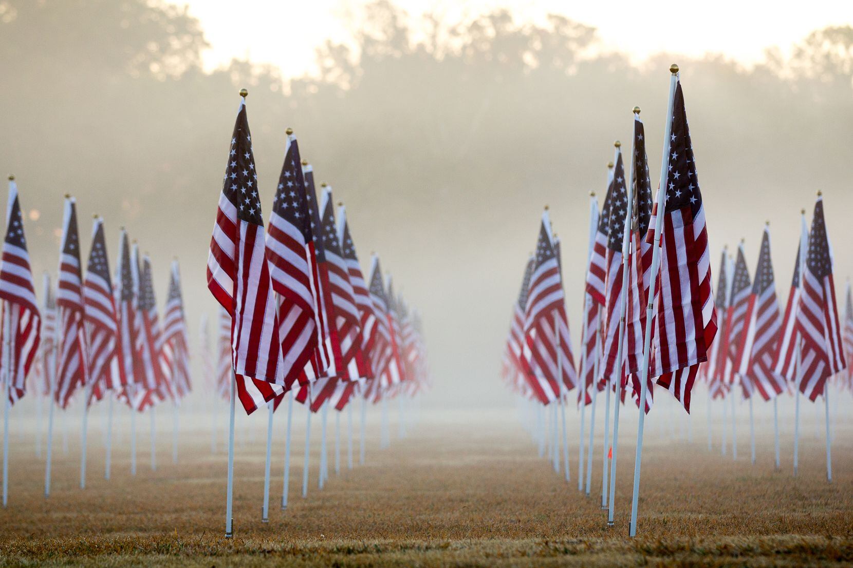 The Plano East Rotary Club observes Veterans Day by setting out hundreds of American flags...