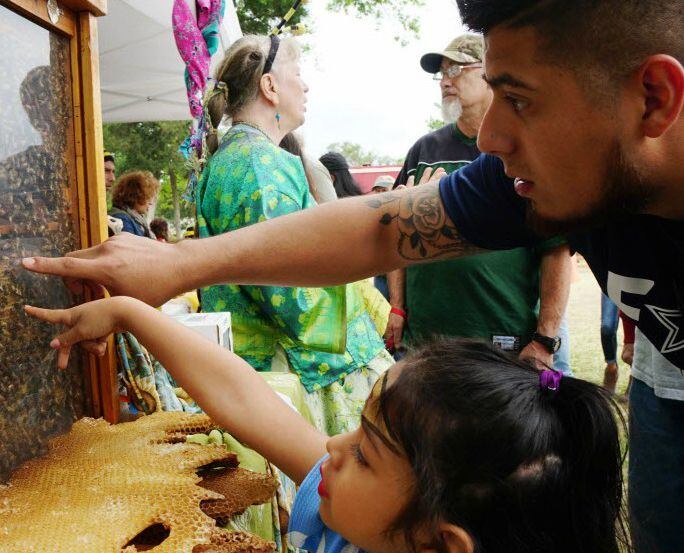 Alex Rodriguez and his daughter check out a bee hive at Oak Cliff Earth Day. 
