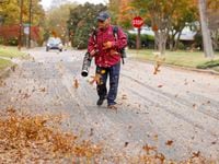 A yard worker cleared leaves from the street in front of an East Dallas property last week....