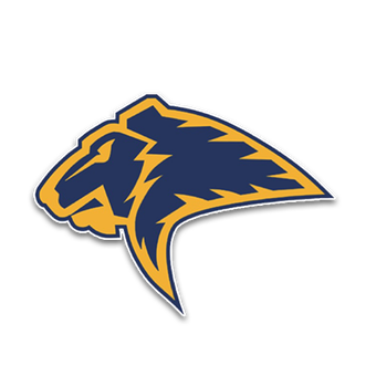 home team logo