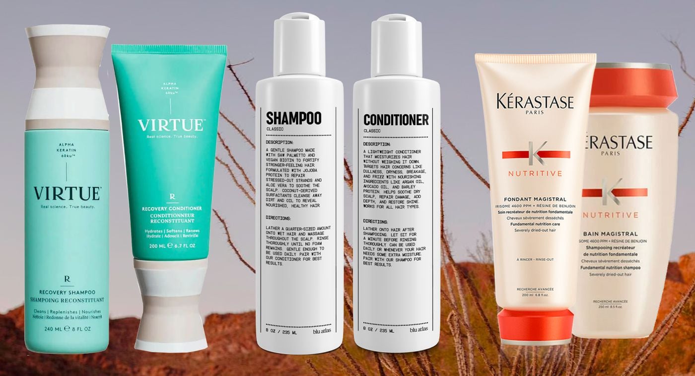 over Luske Hyret 7 Best Shampoos and Conditioners for Dry Hair