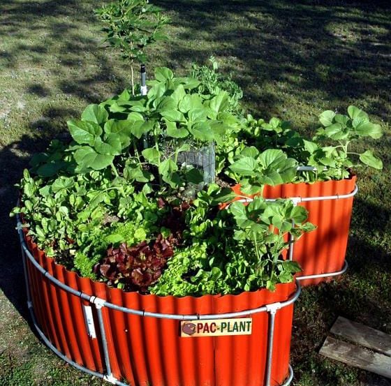 Container Gardening - Bosque