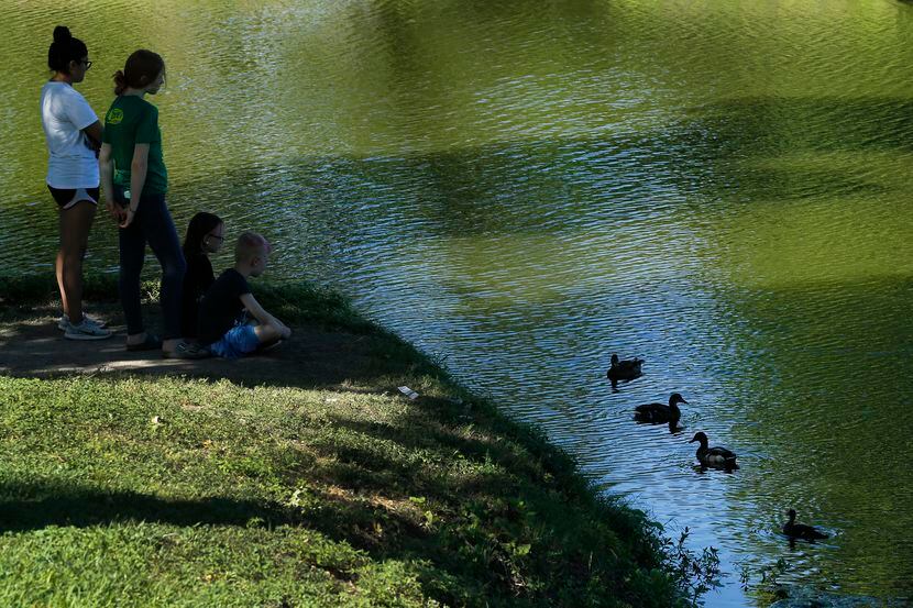 Dallas abrirá registros para campamento de verano que se llevarán a acabo por seis semanas,...