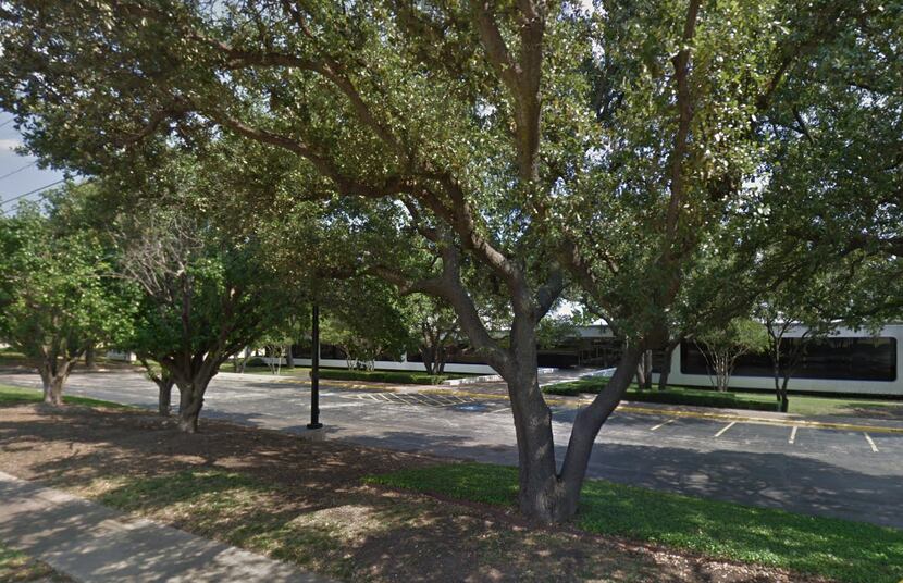 Live oak trees along Forest Lane in North Dallas before they were cut back by the property...