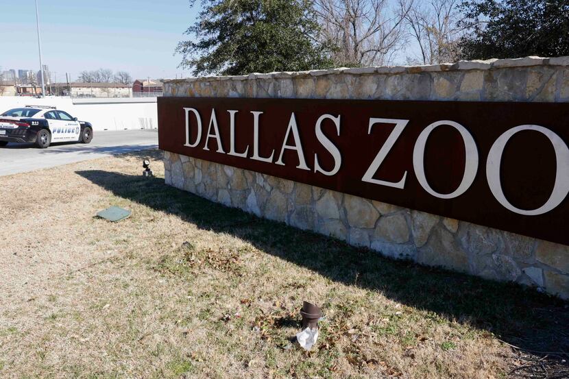 Una patrulla vigila las instalaciones del Zoológico de Dallas, el 13 de enero de 2023