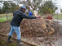 Kendall Rogers checks on a compost heap at Urban Dallas Farm on Wednesday, Jan. 22, 2020 in...