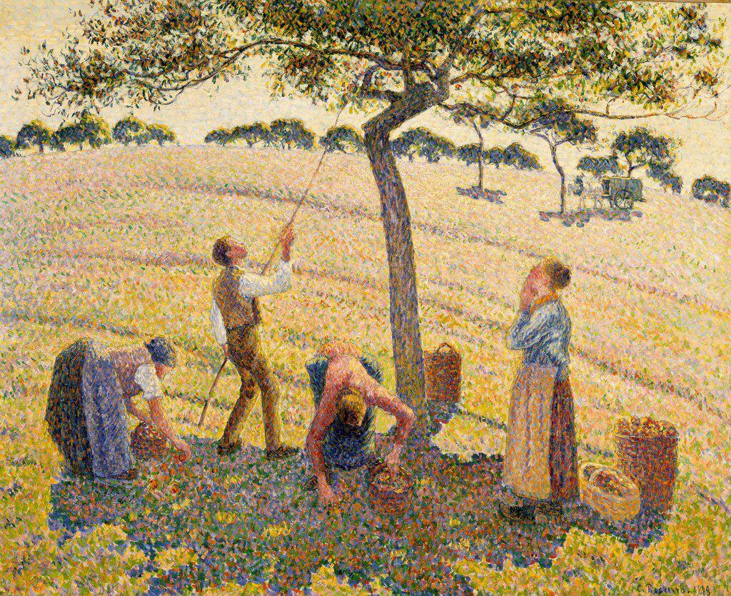 Apple Harvest
Camille Pissarro
1888
Oil on canvas
Overall: 24 x 29 1/8 in. (60.96 x 73.98...