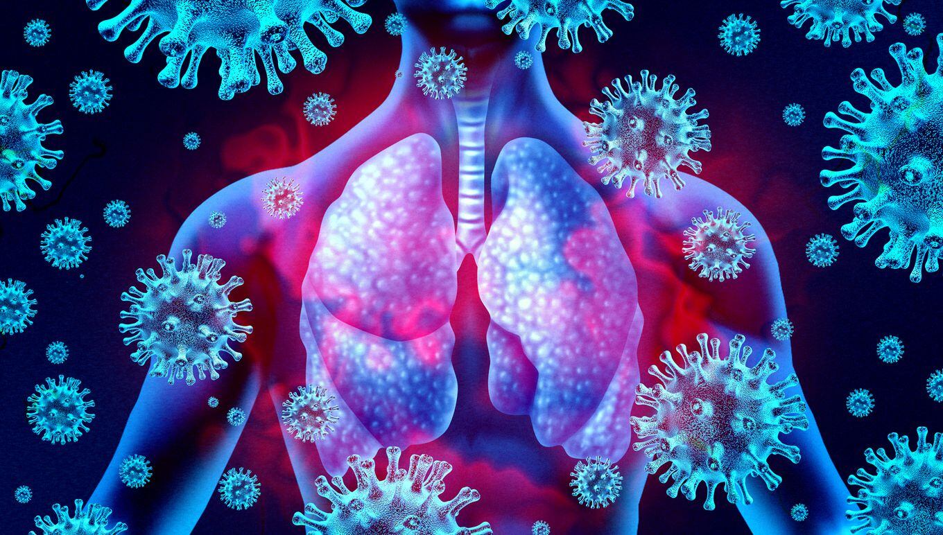 Los pulmones son uno de los órganos del cuerpo humano que más efectos resienten de una...