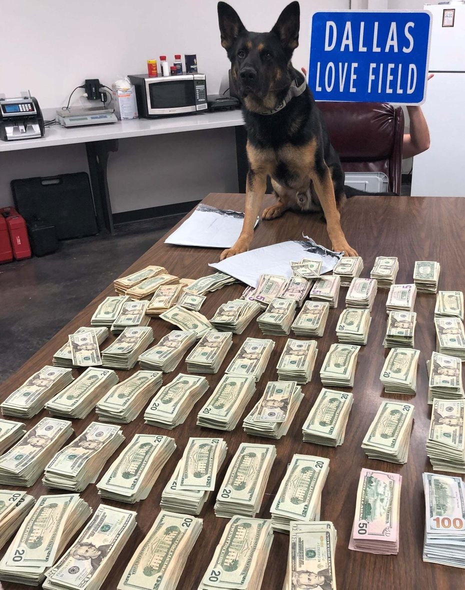 Dallas police, with the help of police dog Ballentine, seized more than $100,000 from a woman who arrived at Dallas Love Field on Dec. 2.