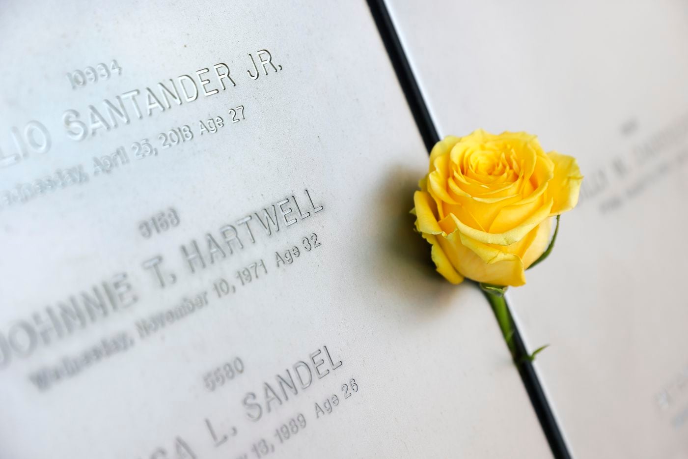 Dallas Police officer Rogelio Santander Jr was remembered with a yellow rose during the 2021 Police Memorial Day at the Dallas Police Memorial in downtown Dallas, Wednesday, July 7, 2021. Santander was gunned down in a Dallas Home Depot by a shoplifter in 2018. (Tom Fox/The Dallas Morning News)