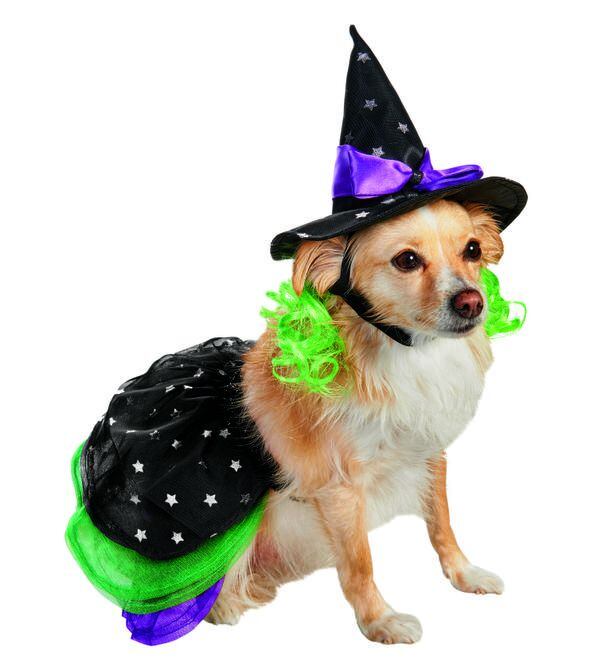 HALLOWEEN WITCH HAT WITH GREEN HAIR FOR MEDIUM DOGS M Vo-Toys 
