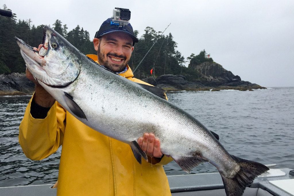 King salmon are the among the prized fish caught on fishing excursions 