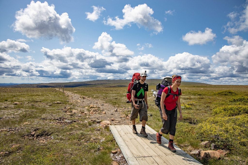 Hikers cross the tundra in search of elusive caribou.