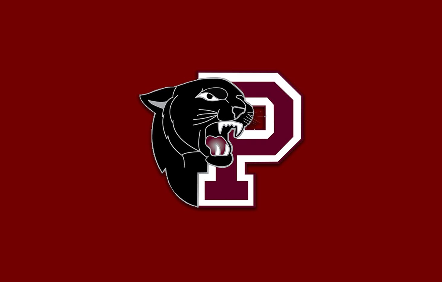 Princeton logo.