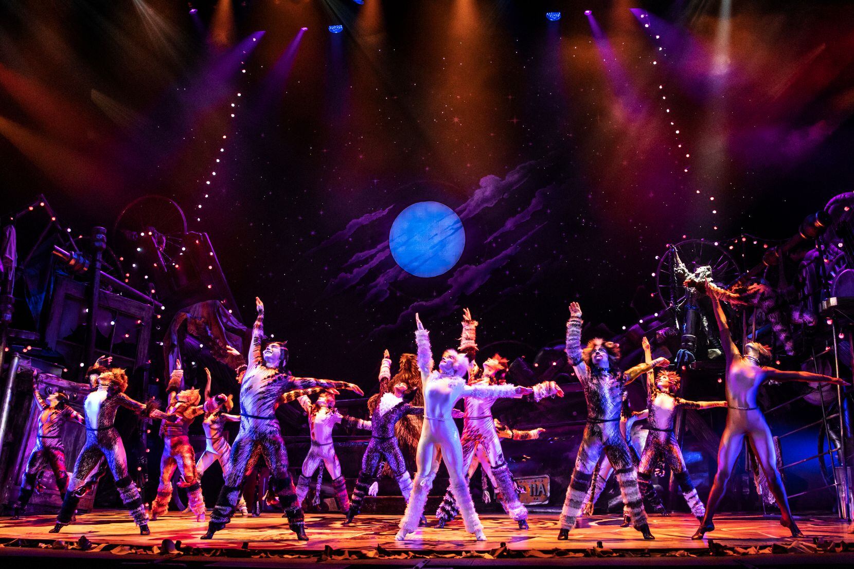 The Original Cats Musical Is Coming to Hungary As Part of Their World  Tour - The Theatre Times