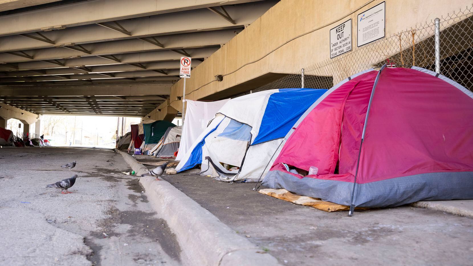 America’s unsheltered homeless population rose by 20.5%, despite a policy aimed at increased...
