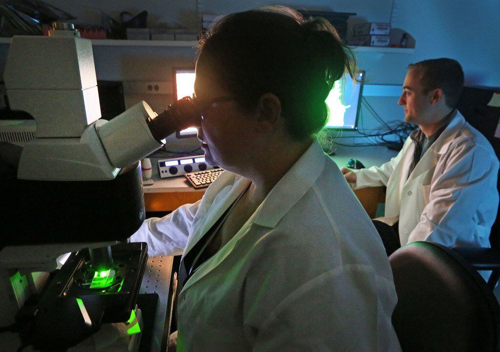 Postdoctoral researchers Dr. Malea Murphy and Dr. Andrew DeVilbiss analyze fluorescent...