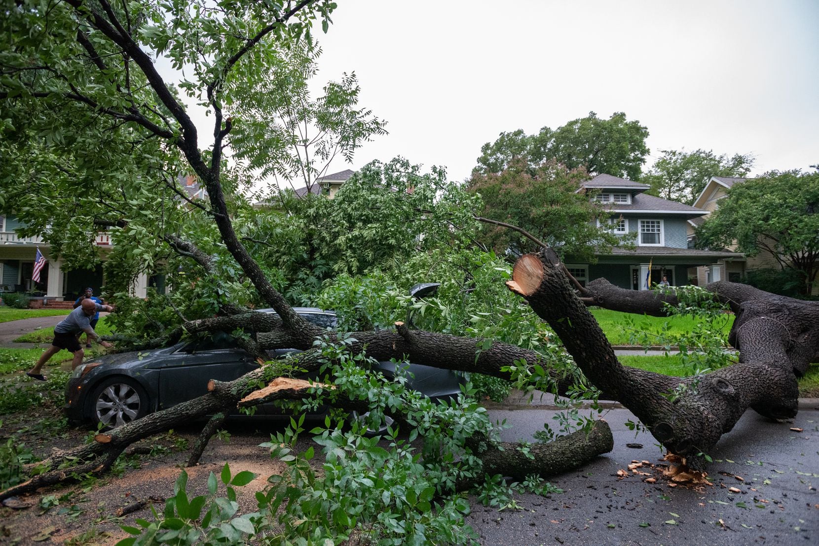 A tree fell on a parked vehicle with LaTasha Kelly, 39, not pictured, sitting inside as she...