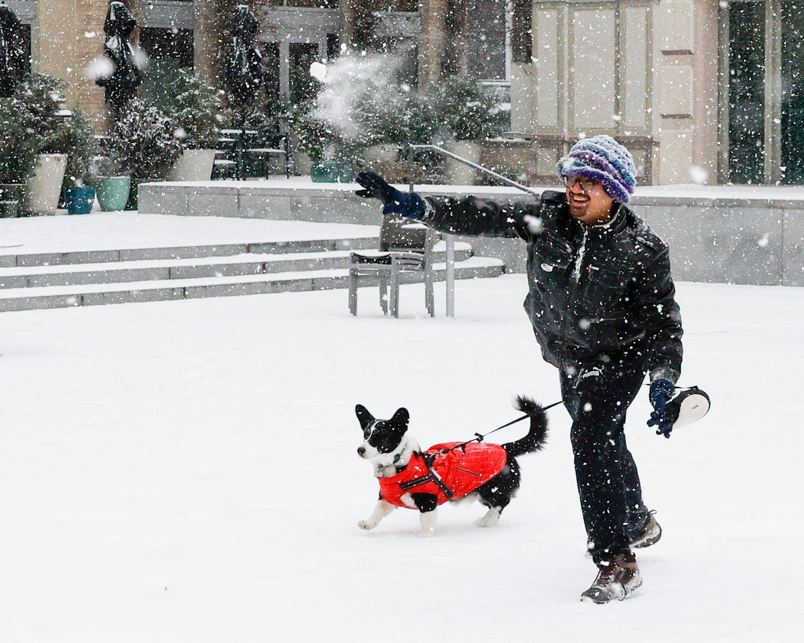 Ammon Lutz, 29, throws a snowball with his dog ZigZag in Sundance Square in downtown Fort...