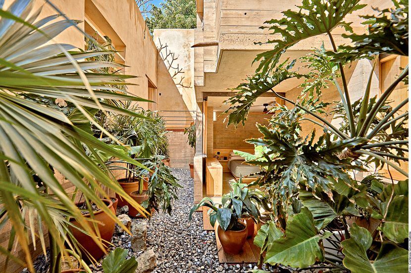 Foto del hotel al aire libre, con paredes de madera y muchas macetas con plantas.