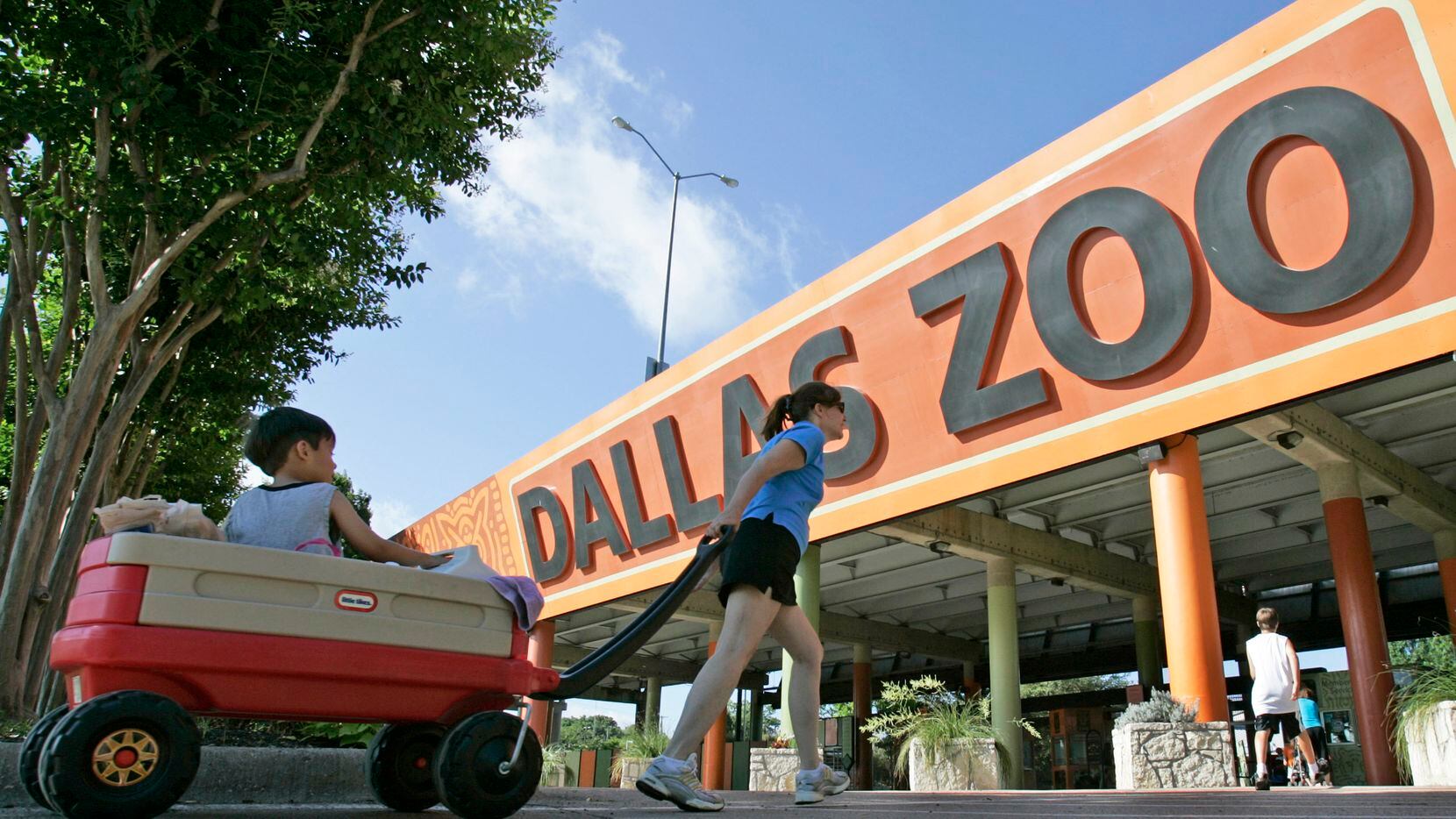 Situaciones fuera de lo común han estado ocurriendo en el Zoológico de Dallas.
