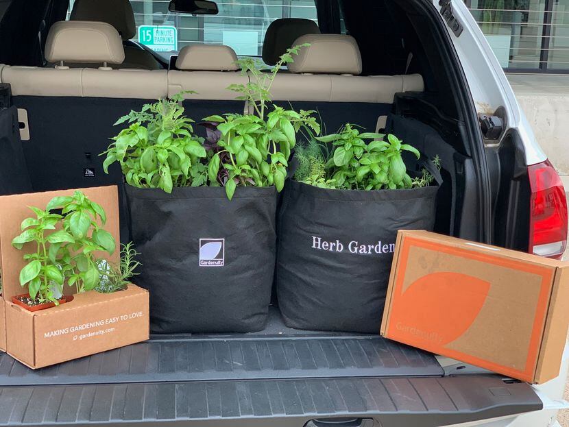 Herb garden delivery from Gardenuity