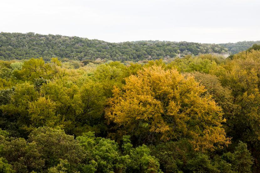 Fall foliage at Palo Pinto Mountains State Park in Strawn, TX on Tuesday, Oct. 11, 2022. The...