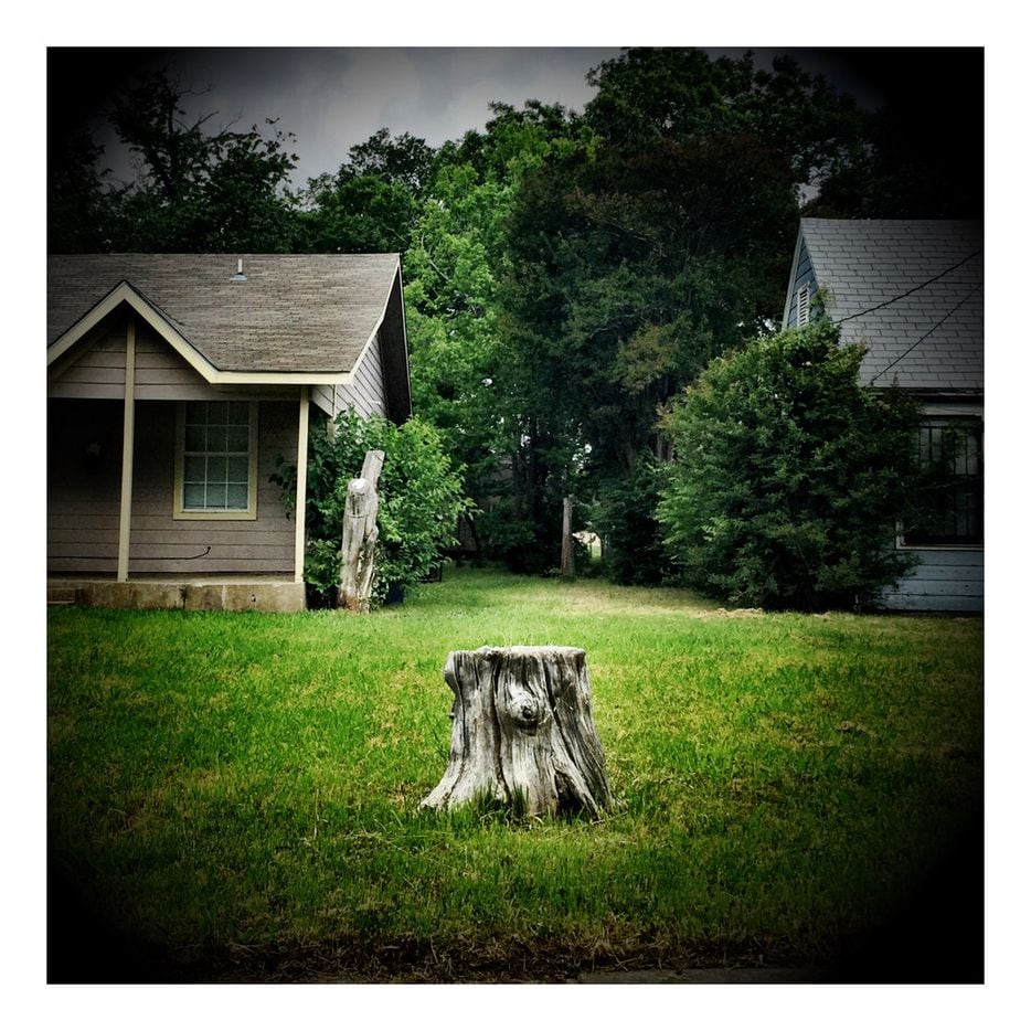 A tree stump marks a property line between two homes in South Dallas, one of many shots the photographer captured on his Meals on Wheels volunteer route.