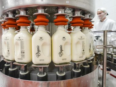 Glass bottles are filled with milk at the 1836 Farms Creamery in Terrell.  The company bought and renovated an abandoned building in Terrell and turned it into a production facility.