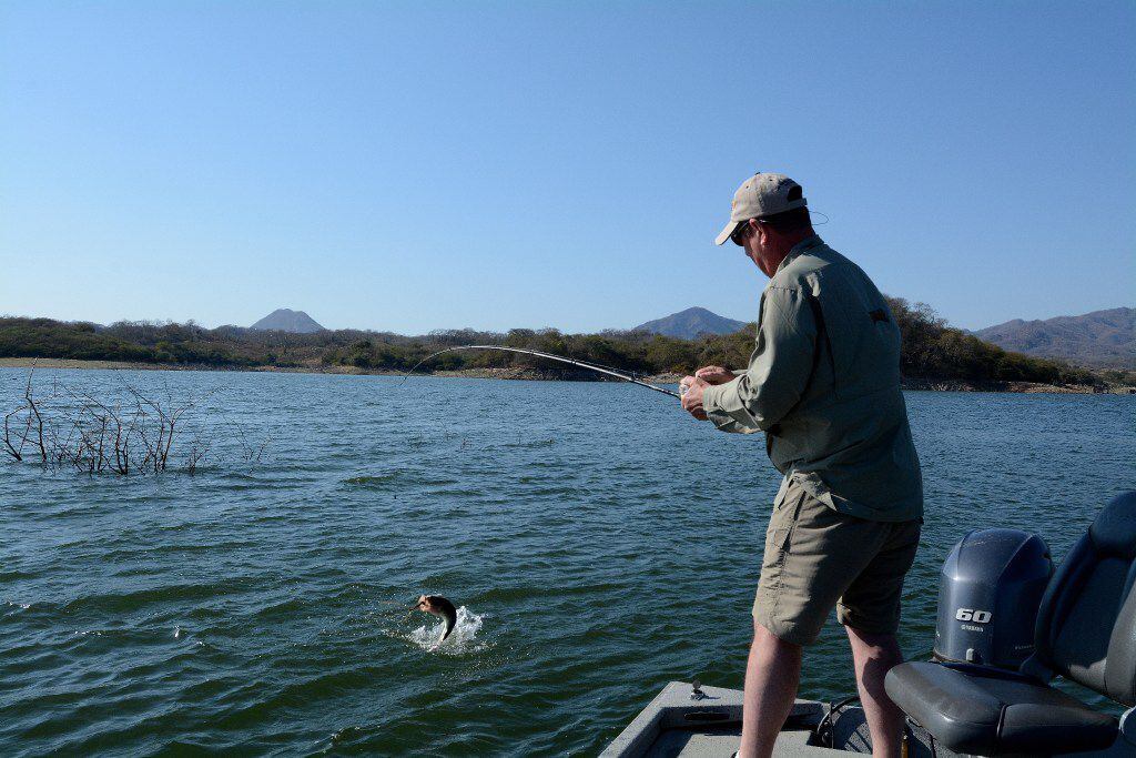 Steve Knight fights a Lake Picachos bass, one of about 50 that he caught that day. Picachos...